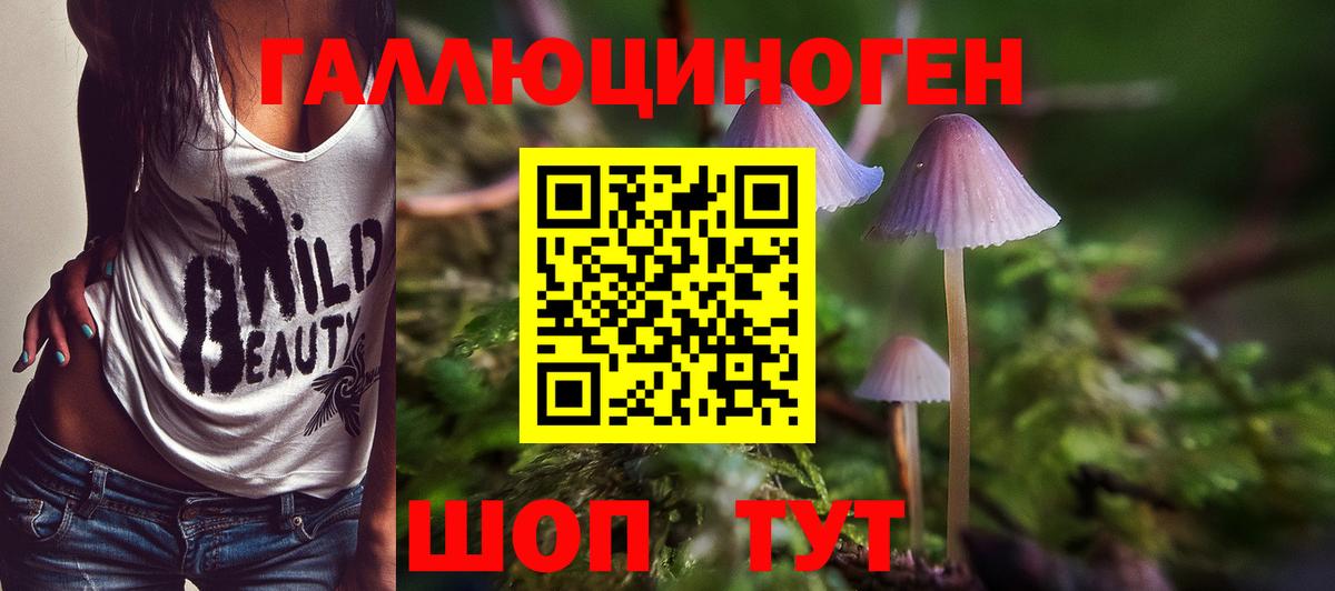 Псилоцибиновые грибы прущие грибы Каменск-Уральский