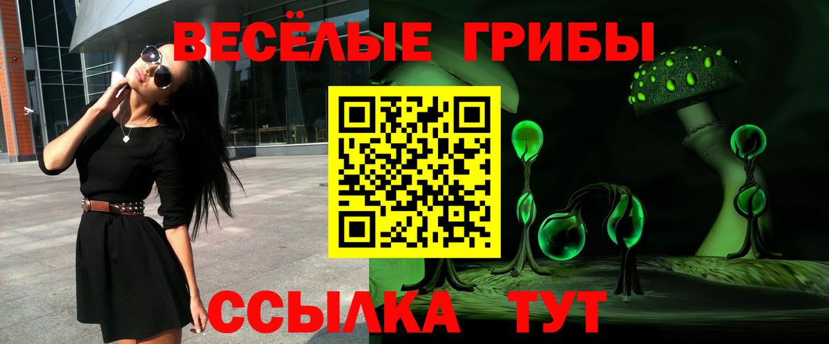 Каменск-Уральский  Галлюциногенные грибы Magic Shrooms  Вход с VPN 